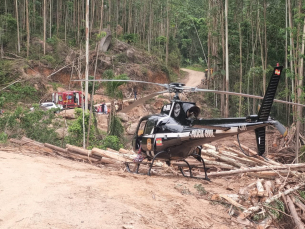 Notícia - ((Vídeo)) Atingido por árvore, trabalhador é hospitalizado com auxílio de helicóptero