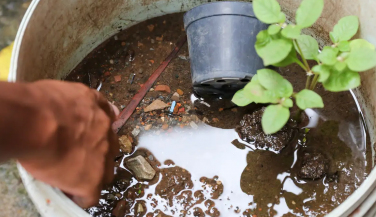 Notícia - Brasil ultrapassa marca de 5 mil mortes por dengue