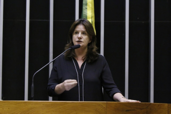 Notícia - Carmen protesta contra a falta de sessões na Câmara dos Deputados