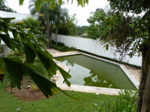 Notícia - Piscina abandonada continua sem limpeza