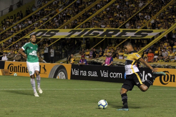 Notícia - Fim de Copa do Brasil para o Criciúma