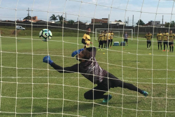 Notícia - Tigre a caminho da estreia na Copa do Brasil