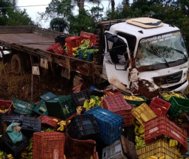 Notícia - Caminhão carregado de bananas bate em poste na SC-447