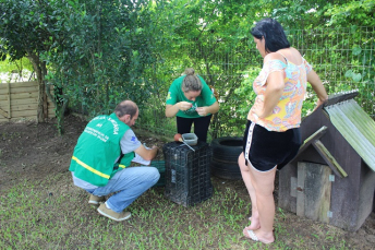 Notícia - Larvas do aedes aegypti localizadas em Maracajá