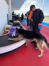 Notícia - Polícia realiza operação no aeroporto de Jaguaruna