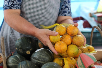 Notícia - São de Criciúma os destaques da Feira da Agricultura Familiar