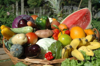 Notícia - Proposta de participação de agricultores no Programa de Aquisição de Alimentos é aprovada