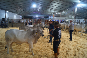 Notícia - Consolidada como a maior feira do agronegócio de SC, AgroPonte encerra com recorde de público e negócios