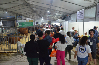 Notícia - Ponte do rural para o urbano: AgroPonte terá mais de 700 animais em exposição