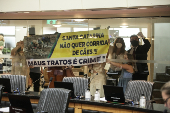 Notícia - Aprovado projeto que proíbe corrida de cães em Santa Catarina 