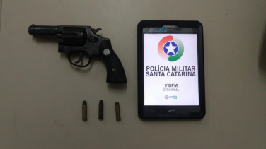 Notícia - Somente em junho, 15 armas apreendidas na região