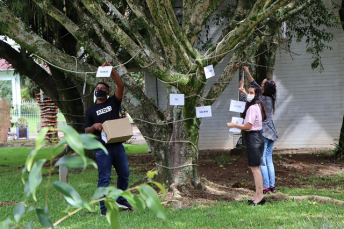 Notícia - Forquilhinha ganha árvore de valores na praça dos Imigrantes Alemães