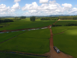 Notícia - Rizicultura: Sul possui a maior área cultivada do estado