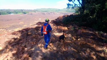 Notícia - Bombeiros de SC fazem primeiro resgate em Brumadinho