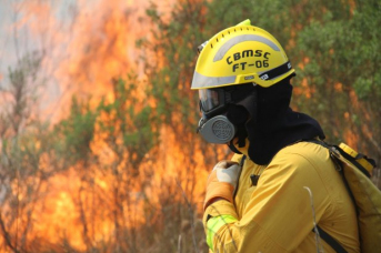 Notícia - As referências que são as Forças Tarefas dos Bombeiros