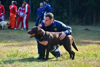 Notícia - Cabo Matheus e Cão Bono reforçam buscas em Petrópolis