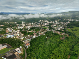 Notícia - Florestas, as geradoras de água limpa e ar puro