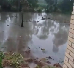 Notícia - No bairro Sangão, moradores preocupados com nível do rio (VÍDEO)