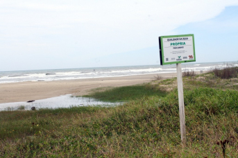 Notícia - Balneabilidade no litoral catarinense tem melhor resultado no ano