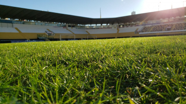 Notícia - Catracas novas e gramado em dia para a volta ao Majestoso