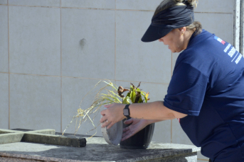 Notícia - Dengue: Secretaria de Saúde de Siderópolis intensifica vistorias em cemitérios do município