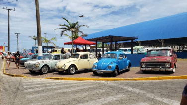 Notícia - Domingo com encontro de carros antigos em Balneário Arroio do Silva