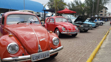 Notícia - Encontro reúne carros antigos e arrecada 145kg de alimentos