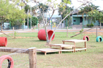 Notícia - Um espaço para os pets no Parque Altair Guidi