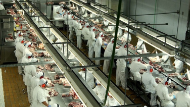 Notícia - SC com alta nas exportações de carne