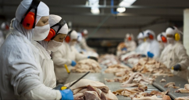 Notícia - SC encerra 2018 com alta nas exportações de carnes