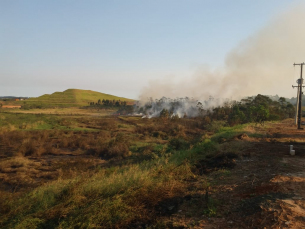 Notícia - Fogo em vegetação por pouco não atinge empresa