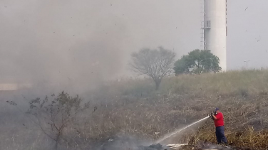 Notícia - Bombeiros combatem fogo em terreno vizinho à Plasson (VÍDEO)