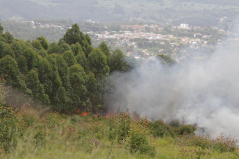 Notícia - Fatores climáticos favorecem os incêndios em vegetação