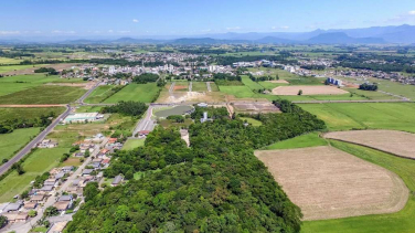 Notícia - Empresas vão receber selo de amigas do meio ambiente