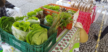 Notícia - Feira da Agricultura Familiar será realizada nesta quinta-feira