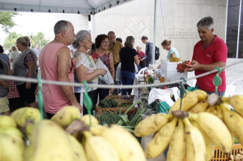 Notícia - Paço recebe mais uma Feira da Agricultura Familiar