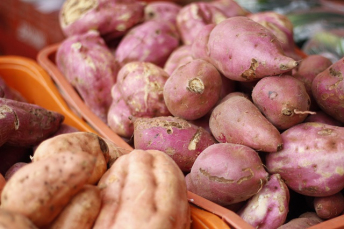 Notícia - Feira da Agricultura Familiar ocorre nesta quinta no Paço