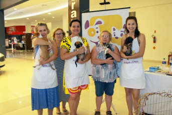 Notícia - Amigos do Chico promove Feira de Adoção no Center Shopping