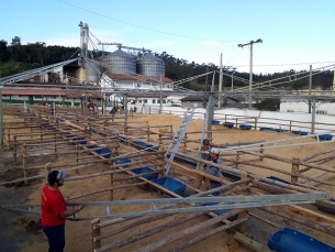 Notícia - Ritmo acelerado na preparação da estrutura da Festa do Colono