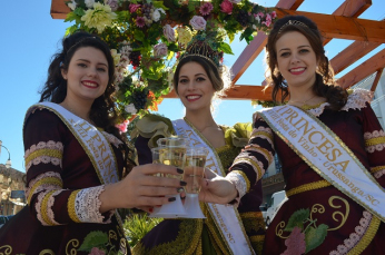 Notícia - Urussanga, a terra do bom vinho, à espera dos turistas