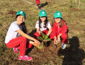 Notícia - Fundai e alunos reflorestam área no bairro Liri