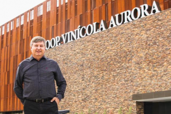 Notícia - Através do cooperativismo, a maior vinícola do país