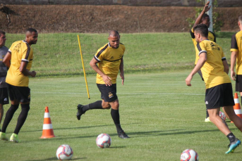 Notícia - Tigre inicia semana de treinamentos visando jogo contra o Paysandu