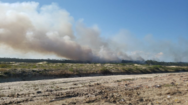 Notícia - Vegetação pega fogo no Arroio do Silva