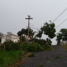 Notícia - Temporal destelhou 30 casas em Cocal do Sul