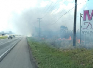 Notícia - Fogo em vegetação e fumaça na BR-101