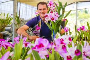 Notícia - Prêmios estaduais para orquidário de Içara