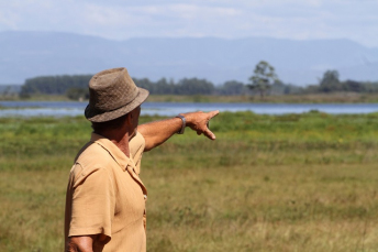 Notícia - Defesa da natureza. E os frutos? Prêmios