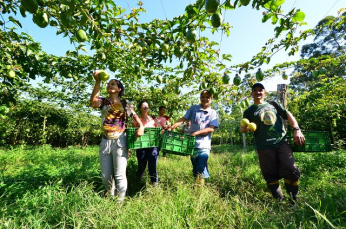 Notícia - Epagri capacita jovens rurais do Sul do Estado para produção orgânica