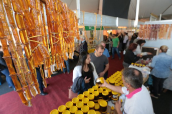 Notícia - ((Áudio)) Empresa Içarense de mel celebra aumento nas exportações